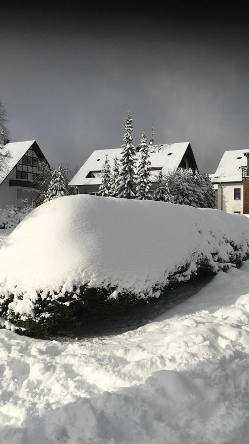 Appartement Bikepark-Erlebniskappe Winterberg Eksteriør bilde